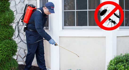 Elmadağ Dezenfeksiyon böcek ilaçlama ve haşere kontrolü — ilaclama-tr.com